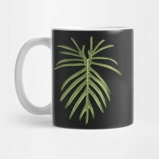 Philodendron Elegans Beauty Big Leaf Mug